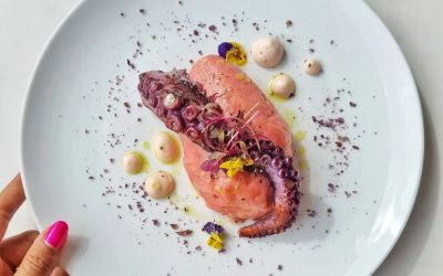 Octopus